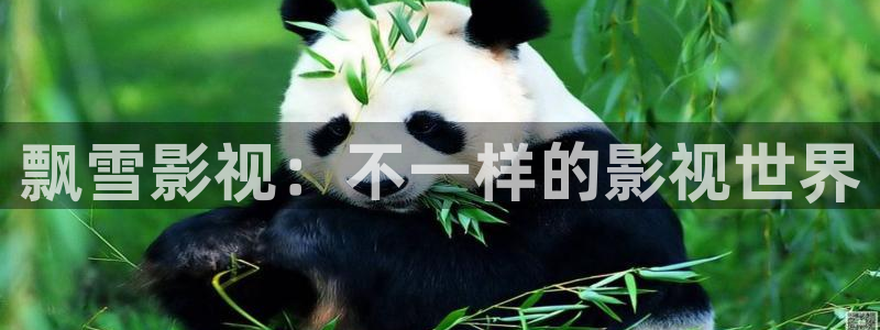 汤姆影院avtom新入口