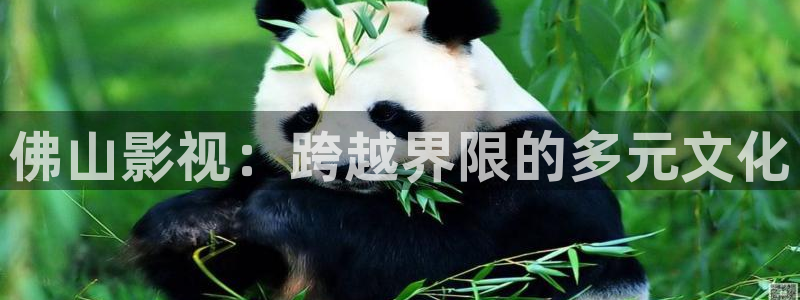 汤姆影院 tom454.com