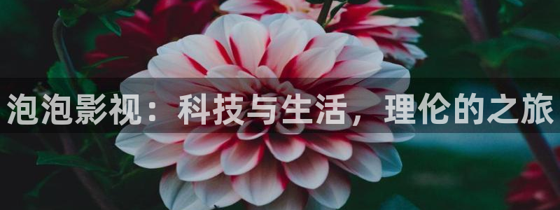 汤姆猫的私人影院